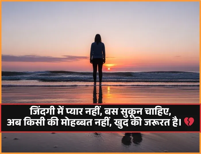 No Love Shayari Copy
