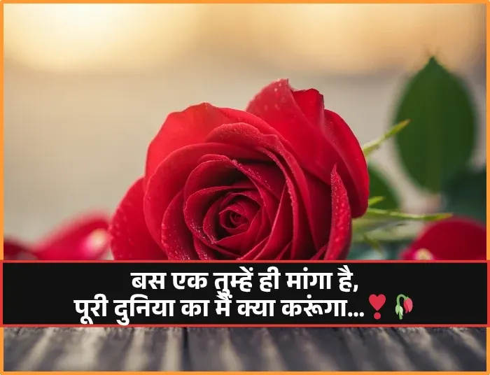 True Love Love Shayari True Love Love Shayari