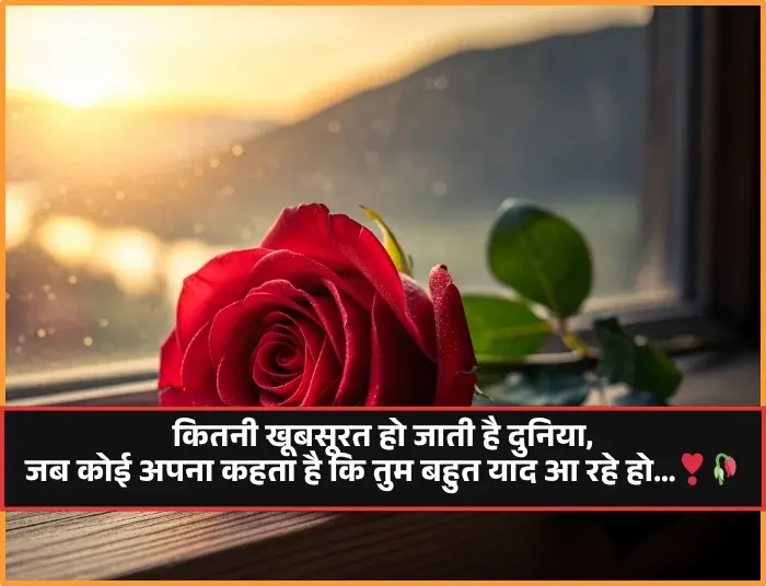 True Love Love Shayari in English True Love Love Shayari in English
